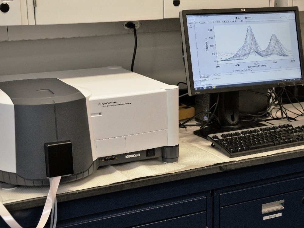 Fluorescence spectrophotometer