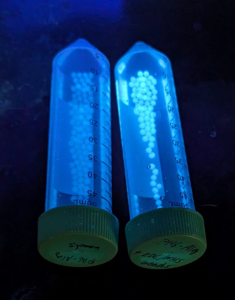 Carbon dot sensor beads glowing blue in sample tubes